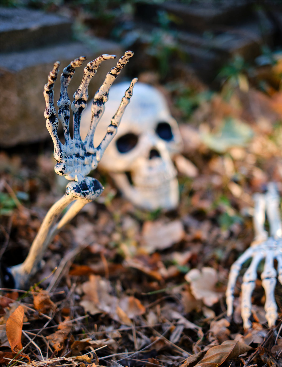 Gros plan sur la main de la décoration bras et crâne de squelette à planter