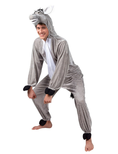Disfraz de burro