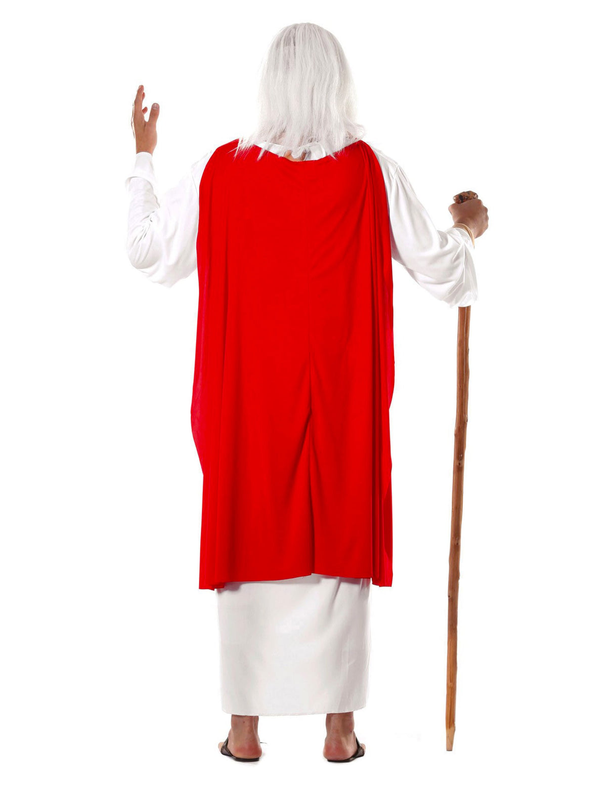 Vue de dos du déguisement de druide gaulois