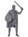 Déguisement homme pétrifié luxe pour adulte gris aspect pierre avec accessoires
