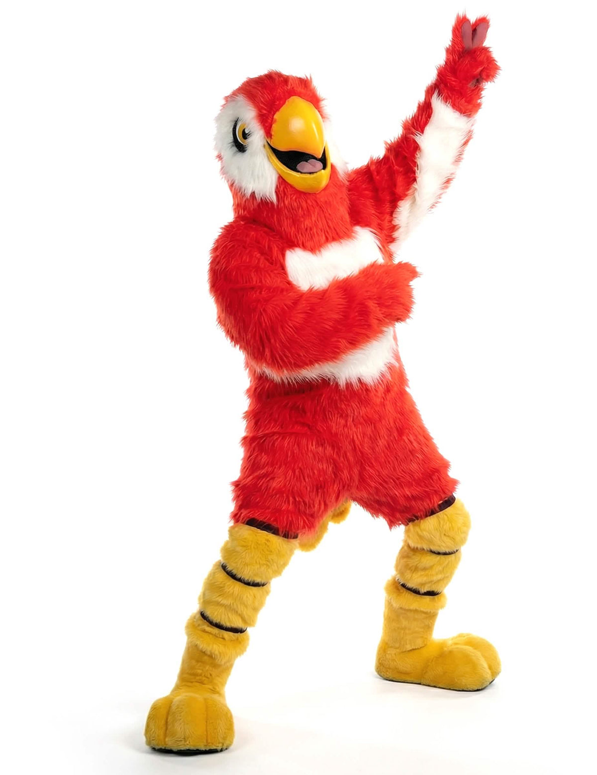 Vista frontal en postura dinámica del disfraz mascotas loro rojo