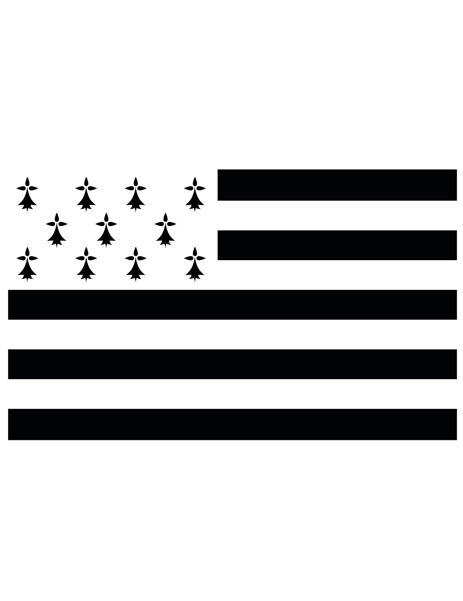 Drapeau supporter Bretagne pour adulte noir et blanc