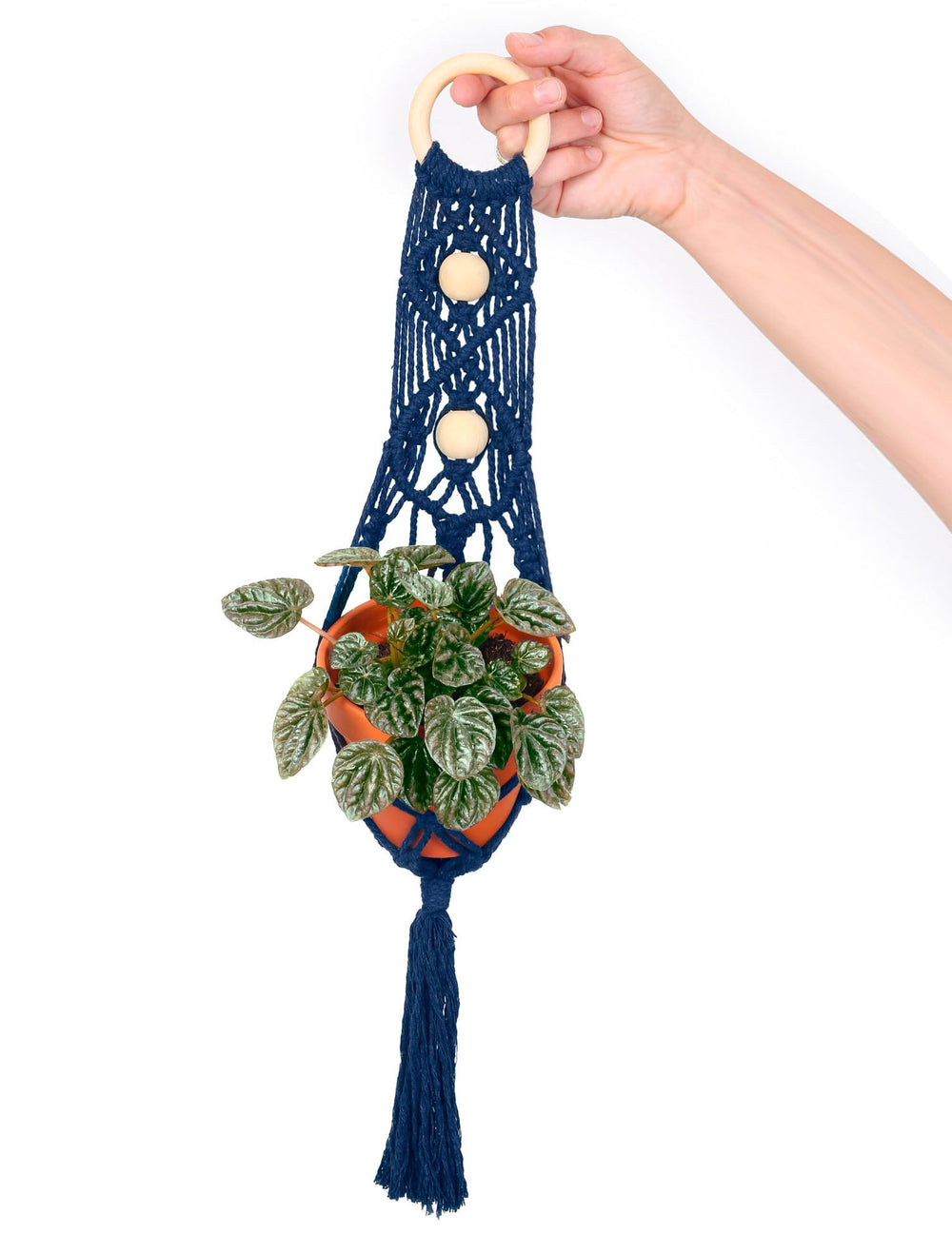 Kit macramé suspension plante bleue avec pot en terre
