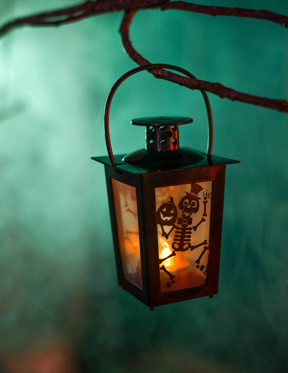 Primer plano de la linterna colgada de una rama de la linterna luminosa halloween con esqueleto y calabazas