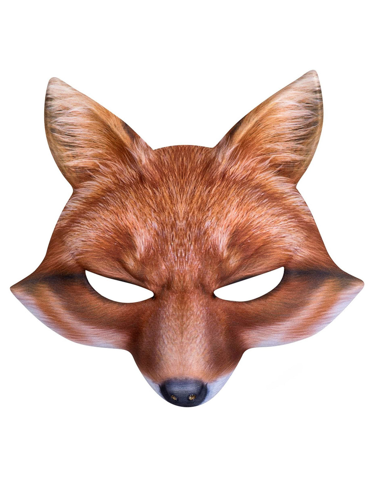 Vista frontal del lobo zorro