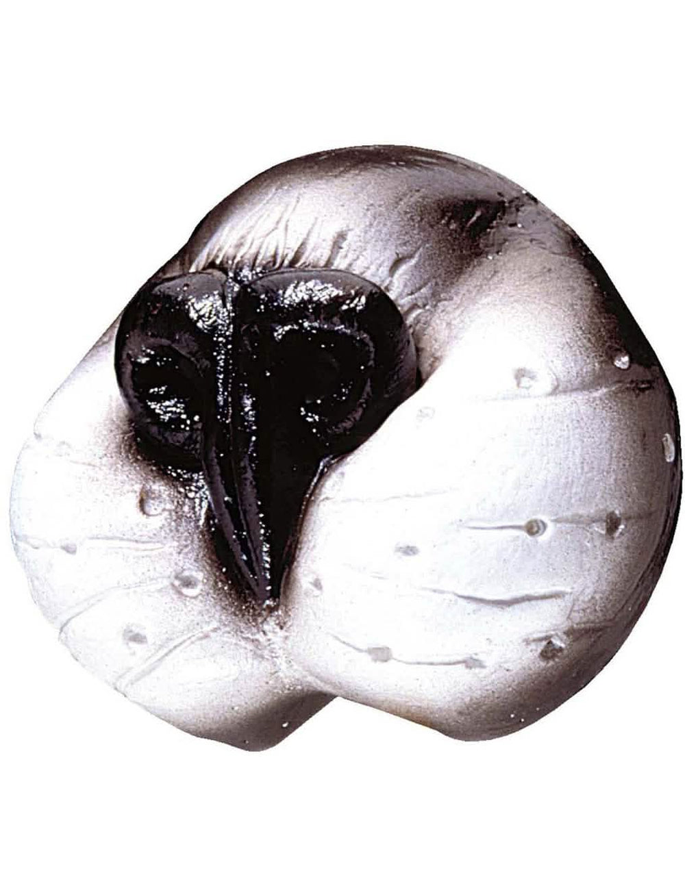 Nez de chat pour adulte blanc et gris avec truffe noire