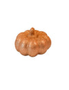 Citrouille orange à paillettes
