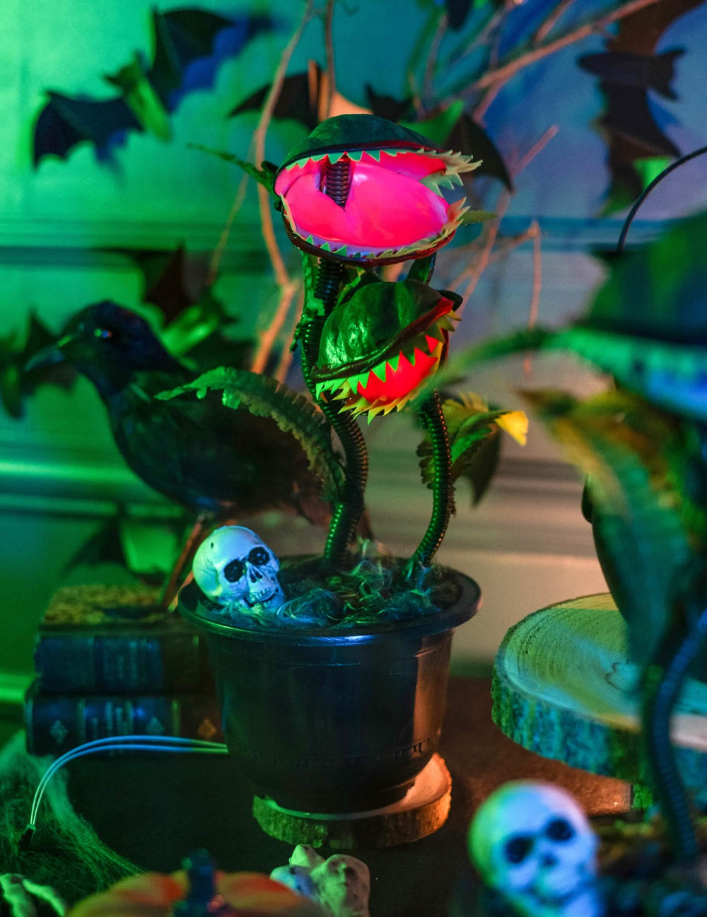 Primer plano del bote con cráneo de la planta carnívora animada decoración de halloween