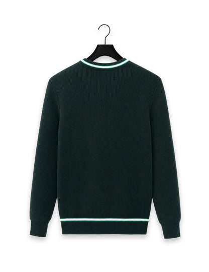 Pull Serpentard Harry Potter™ adulte