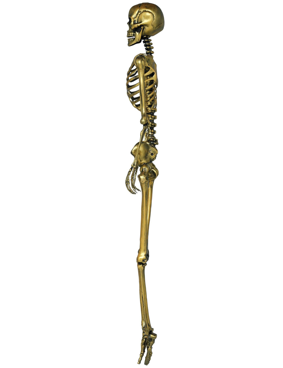 Vue de profil du squelette à suspendre pour Halloween doré