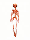 Esqueleto articulado Summerween con cabeza de calabaza naranja 1 m