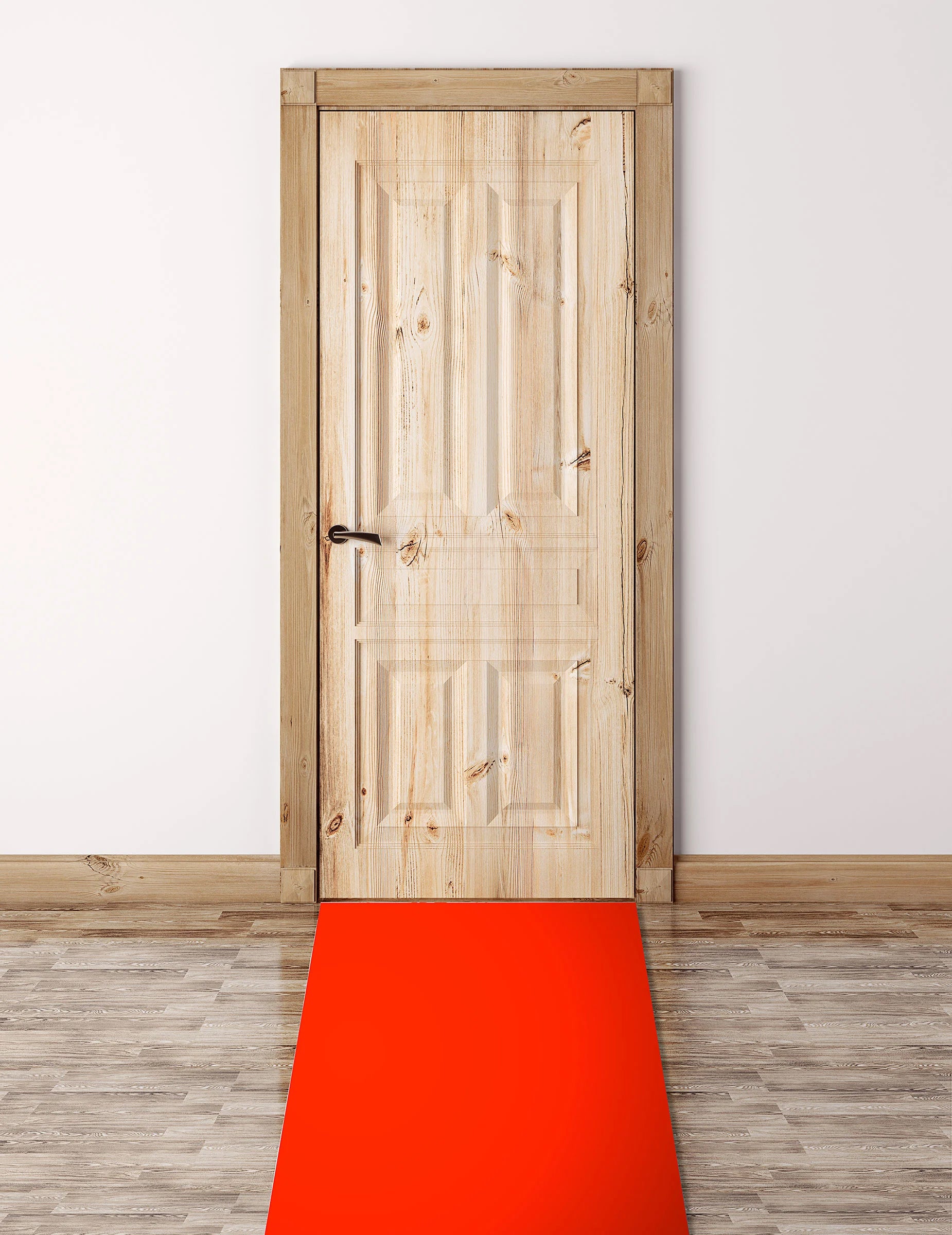 Mise en situation devant une porte du tapis rouge VIP pour fête