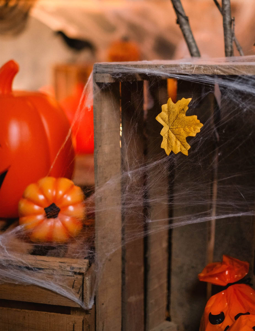 Détail d'une feuille d'automne sur une caisse de la toile d'araignée Halloween blanche