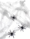 Telaraña blanca con arañas 20 g Halloween