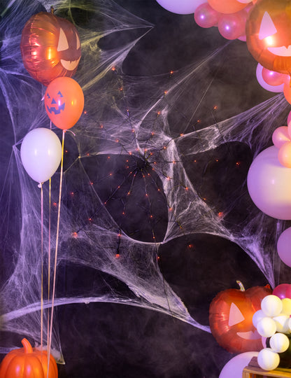 Mise en ambiance de la toile d'araignée lumineuse LED pour décoration
