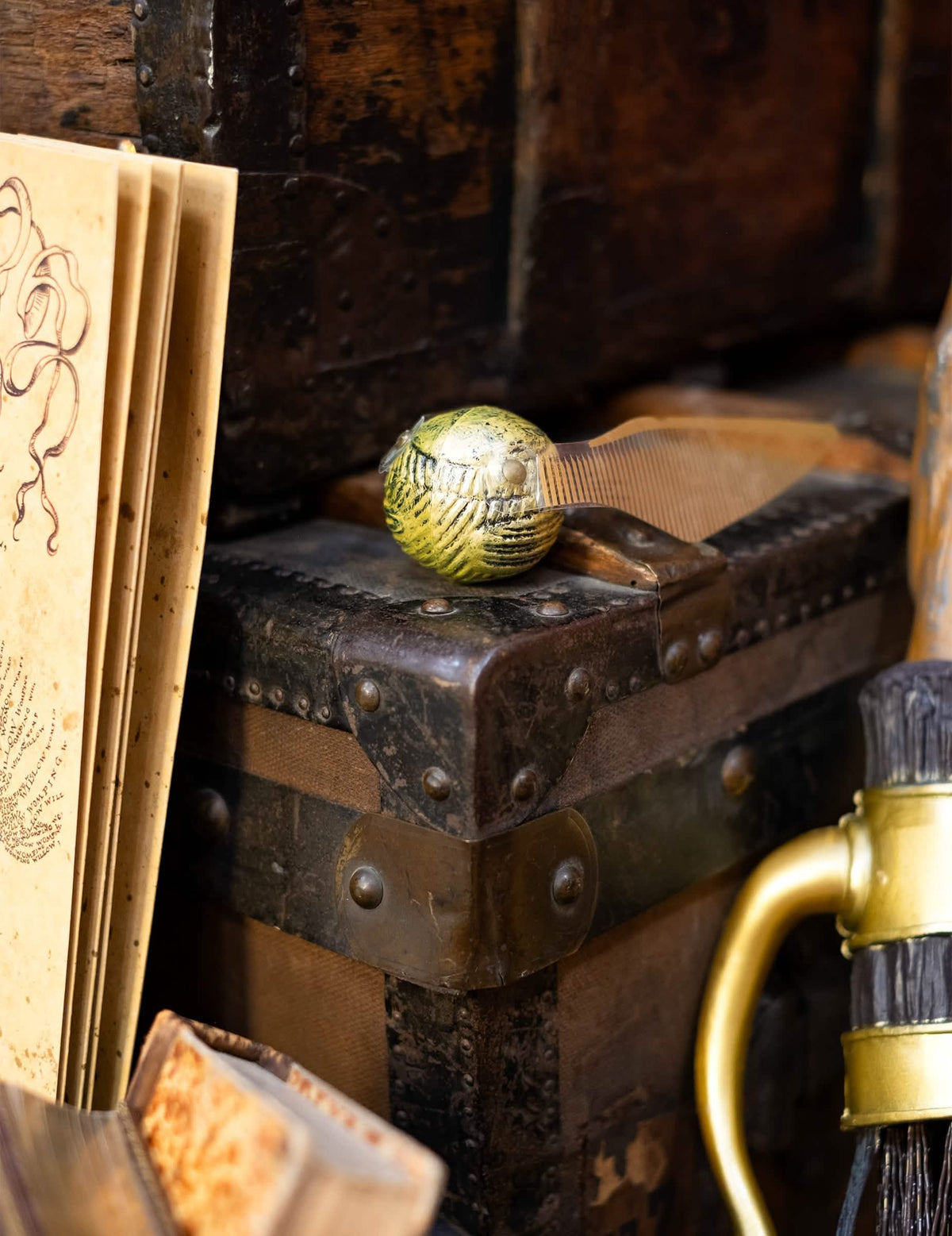 Escenificado sobre un baúl antiguo del accesorio Vif d'or Harry Potter